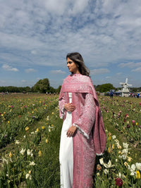 The Pashmina Edit — Light Pink