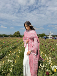 The Pashmina Edit — Light Pink