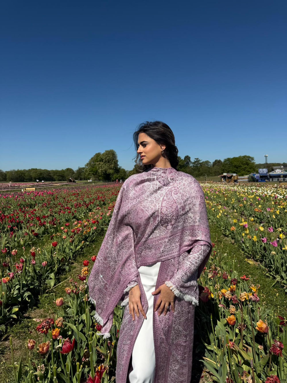 The Pashmina Edit — Dark Pink